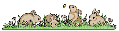 Bunnies in a field