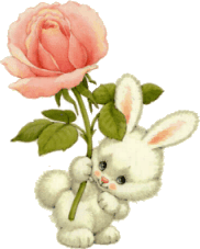 shy bunny holding a rose
