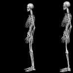 Skeleton Clipart & Animations - Free Halloween Graphics