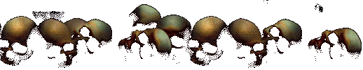 skulls divider