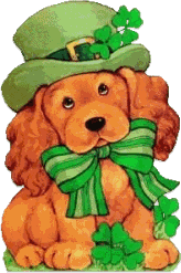 irish dog dressed up for st. paddys