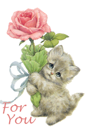 kitten holding a rose