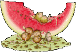 Mice Eating Watermelon