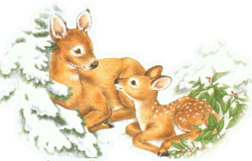 2 deers