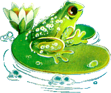 frog on a lilly pad