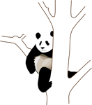Giant Panda In Tree