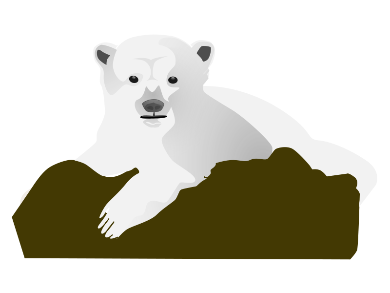 Knut The Polar Bear