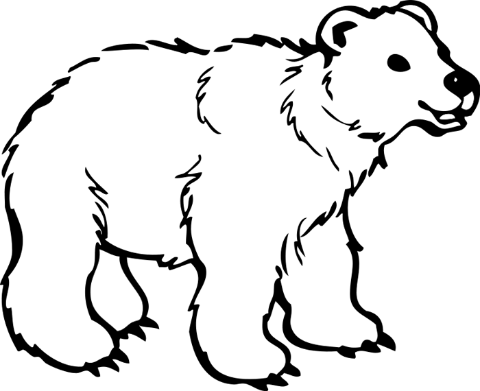Bear Transparent Background, Cute Bear PNG, Black, Teddy, Polar