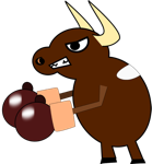 Bull fights