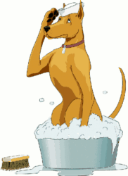 dog in bath tub