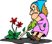 old woman weeding a garden