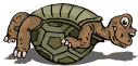 Flipped Tortoise