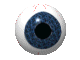 animated 3d eyeball