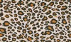 light leopard fur background