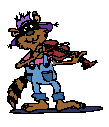 racoon fiddler