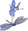 faerie standing on a dragonflies back