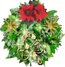 Sparkly Wreath