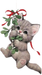 Hang in there Christmas kitty!