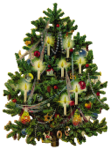Old Fashioned Tree