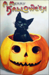 Black Cat Pumpkin