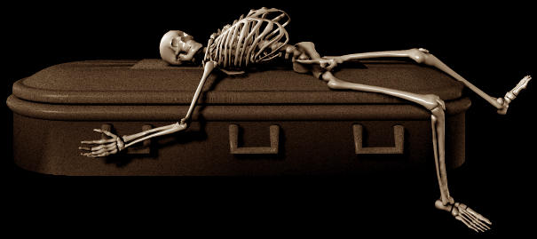 bones resting on a casket