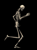 skelly out for a jog