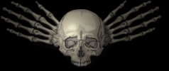 human skull and hand bones