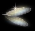 angel feather