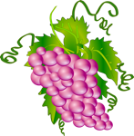 Purple Grapes