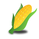 Corn On The Cob