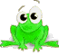 winking frog animation