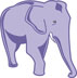 purple elephant