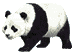 small panda graphic