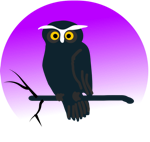 Owl On Branch