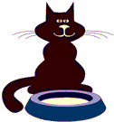 black cat at food dish