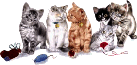 a litter of kittens with toys