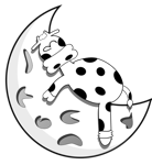 Cow On The Moon