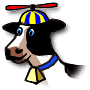 Bovine with a silly cap