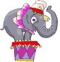 circus elephant animation