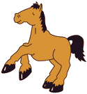 Cartoon pony