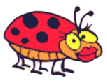 animated ladybug