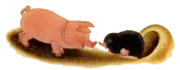 piglet and mole