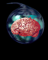brain animation