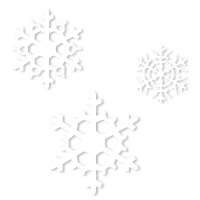 white snowflakes