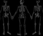 black background with skeletons holding hands
